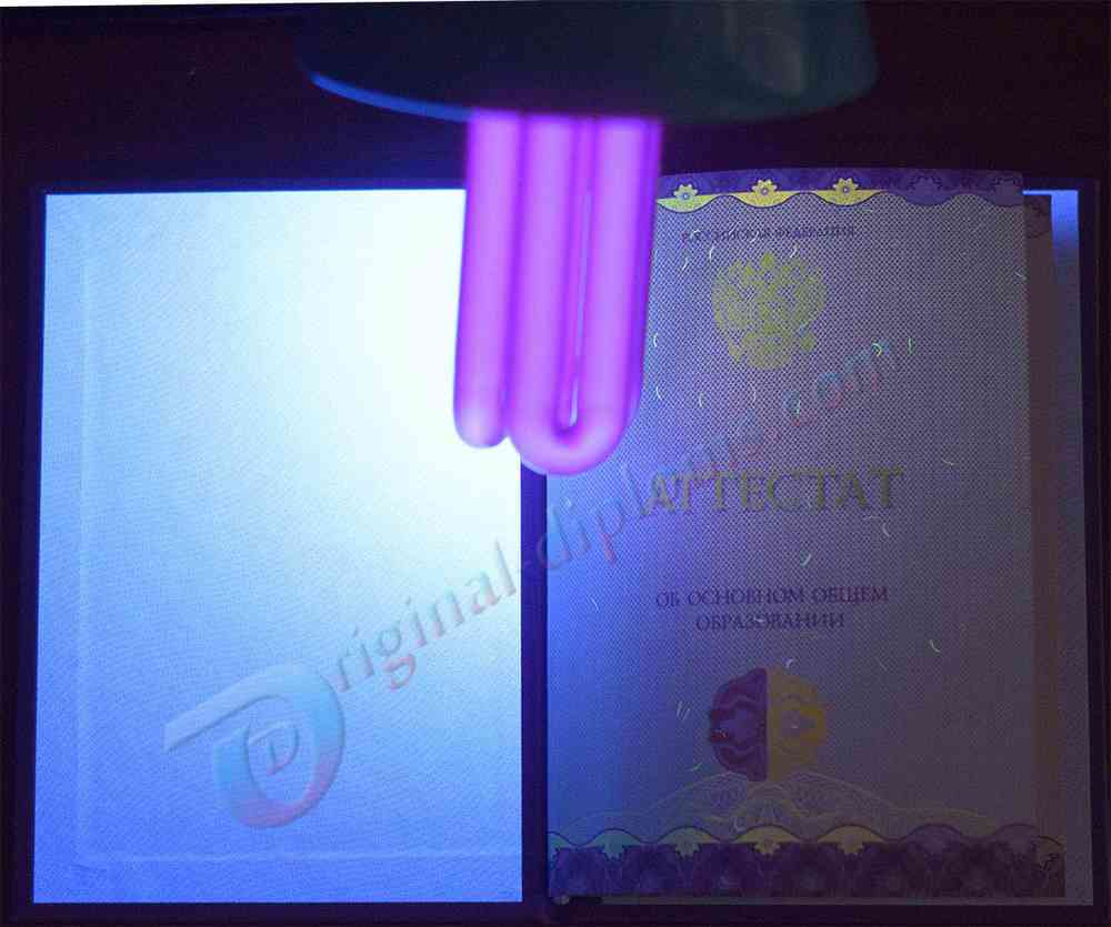 Аттестат о среднем обр. за 9 классов 2014-2026